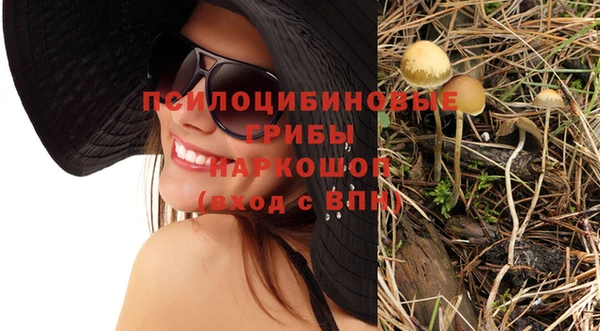 тгк Магадан